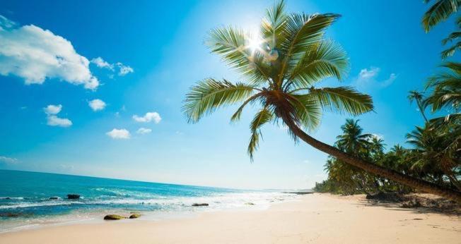 Tai Phong Tien Phu Quoc Hotel Buitenkant foto